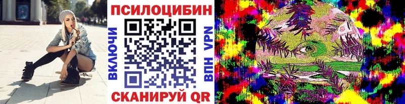 Псилоцибиновые грибы Psilocybine cubensis  Тихорецк 