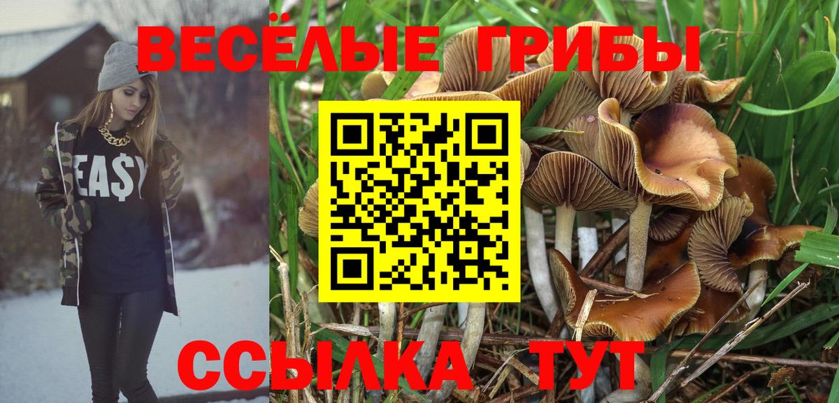 Псилоцибиновые грибы мицелий Тихорецк