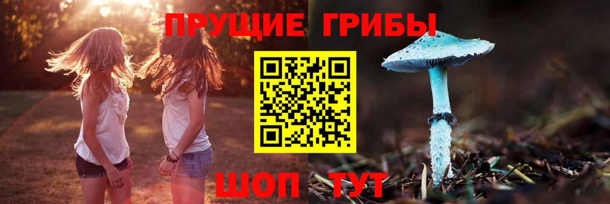 Галлюциногенные грибы MAGIC MUSHROOMS  где купить   Галлюциногенные грибы Magic Shrooms  Тихорецк  Вход с VPN 