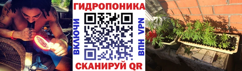Конопля конопля  Тихорецк 